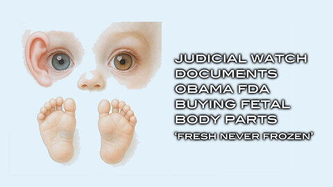 Judicial Watch Documents Obama FDA Buying Fetal Baby Body Parts - Fresh Never Frozen