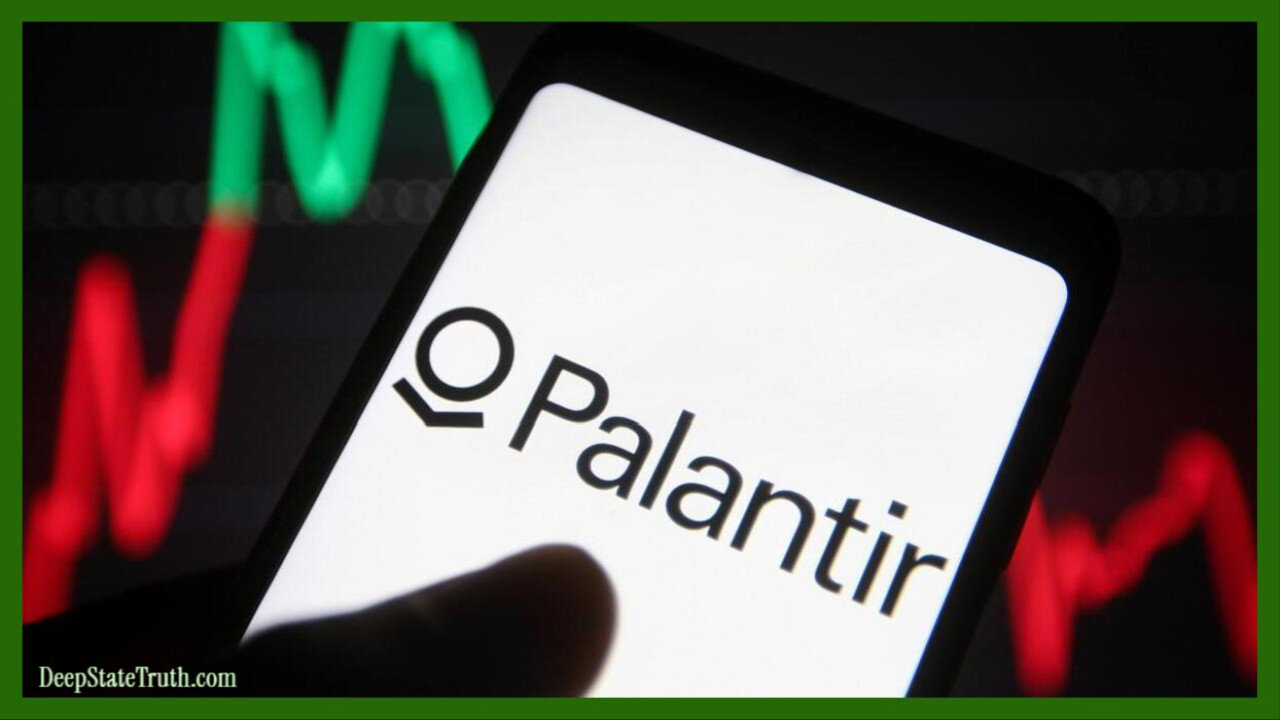 👩🏻💻 Palantir ⋆˙⟡ What Roles Do They Play in the U.S. Department of Defense, Healthcare, Finance and More?
