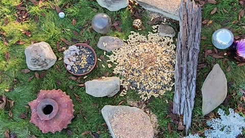 Blue Jay Crews Fight for Turf like whoa, were rolling up hot on em,