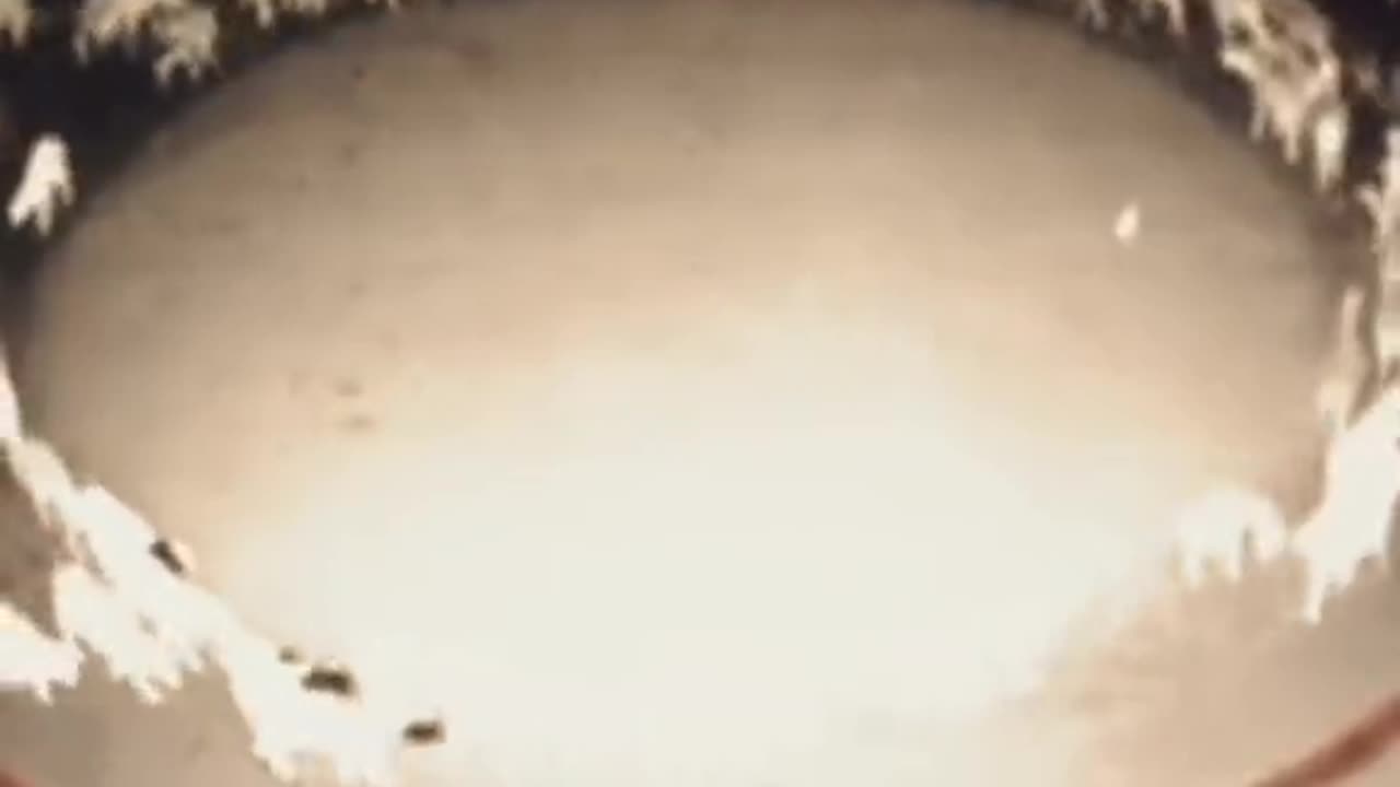 🤔😱 Weird Things Caught on Camera! What's Going On? | TheHauntingHour