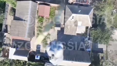 More arrivals, upgrades, and suicides of Ukrainian pigs