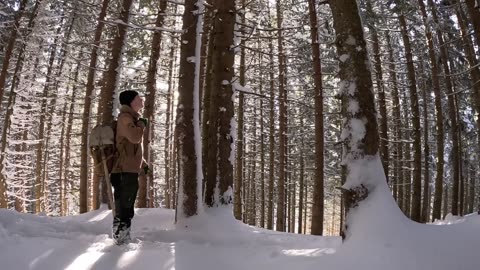 NO Sleeping Bag or Shelter - Surviving the Night in the Snow - Using a Siberian-Log-Fire