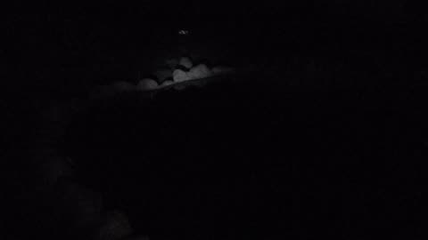 Reflectors and toads singing