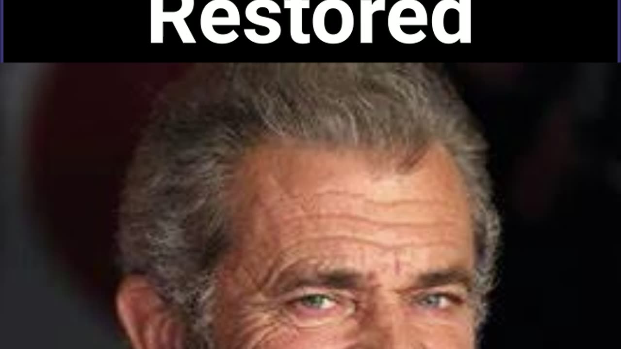 Mel Gibson Gun Rights Restored