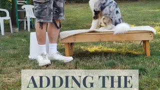 Back to the Basic Adding Verbal Cue short 2