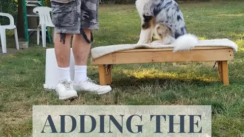 Back to the Basic Adding Verbal Cue short 2