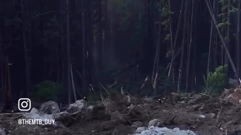 🤯✨ You Won't Believe How They Create Lines Through Forests! | FeedMyCuriosity