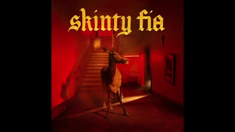 Fontaines D.C. - Skinty Fia