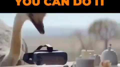 If You Can See It, You Can Do It !!