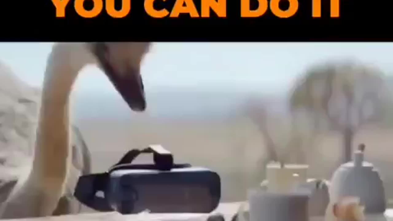 If You Can See It, You Can Do It !!