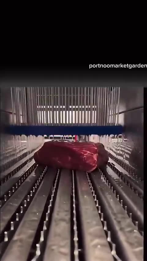 This has to stop. Make America Healthy Again