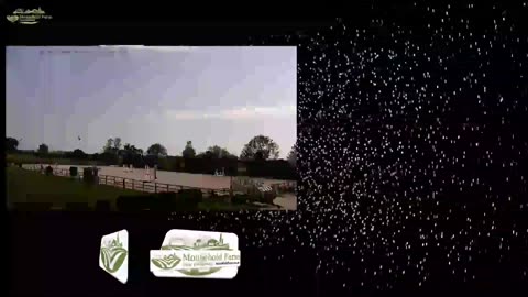 Mousehold Farm All Weather Riding arena