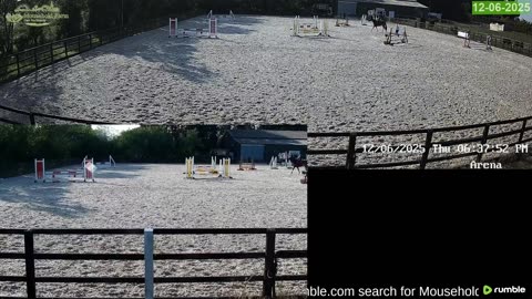 Mousehold Farm All Weather Riding arena