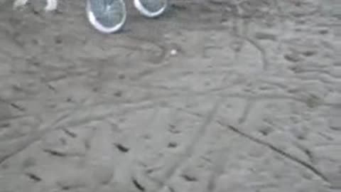 Egg Stomp