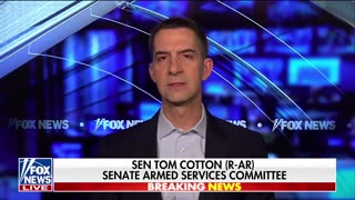 Sen Tom Cotton: Dems Desperately Want To Protect Illegal Aliens