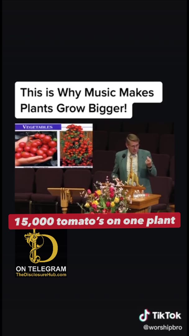 This is Why Music Makes Plants Grow Bigger!