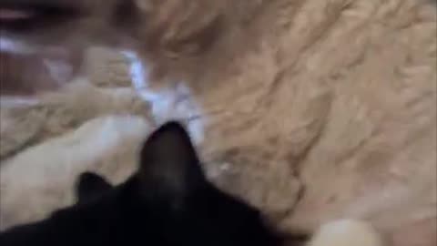 What are they up to? "No milk in there"