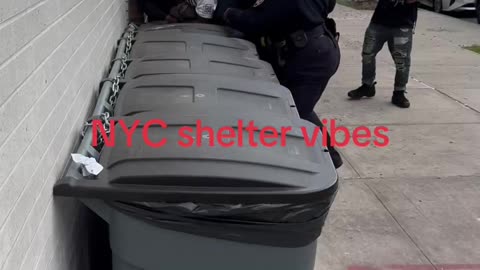 nyc shelter vibe