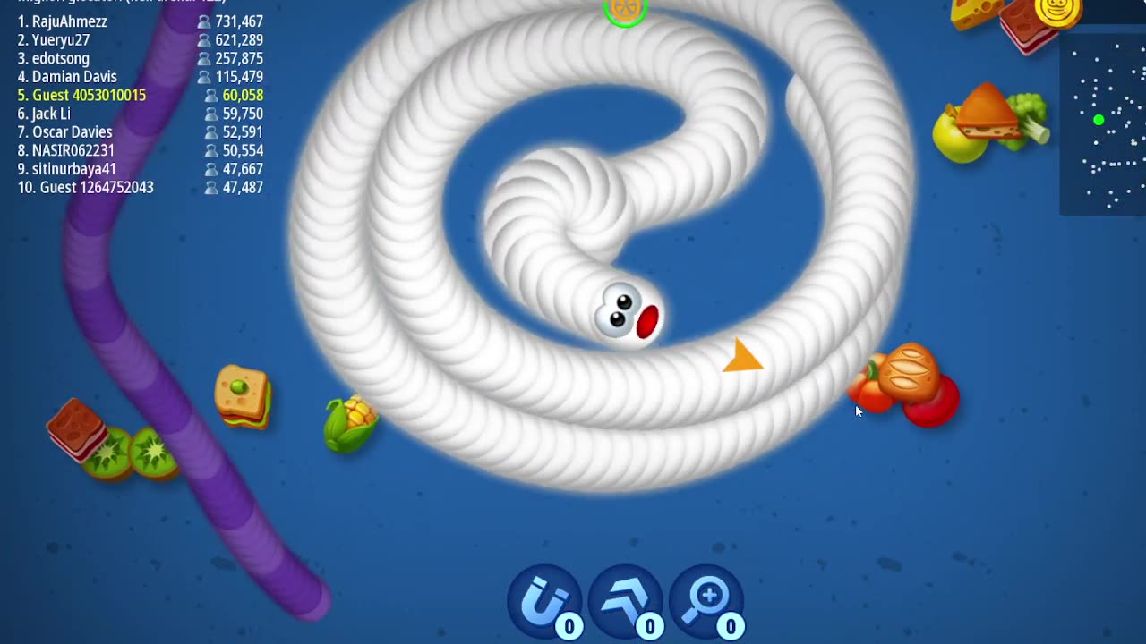 Worms Zone