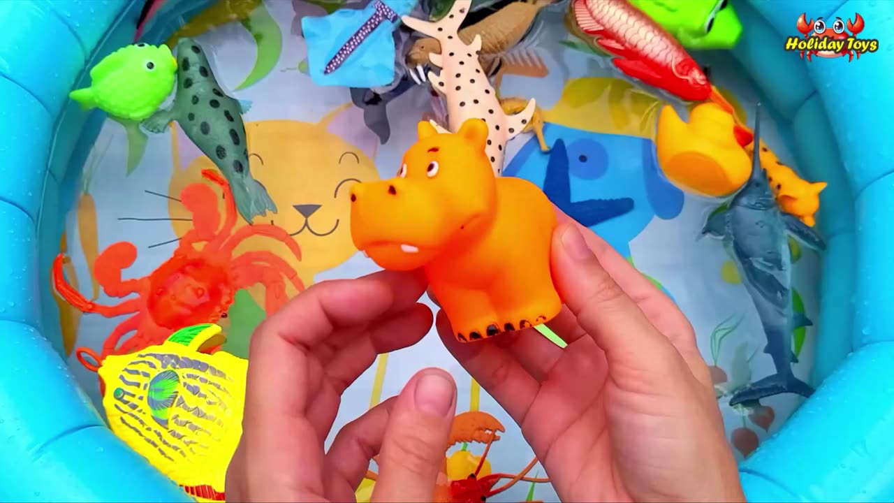 Yellow Lobster Playing with Clownfish for Fun