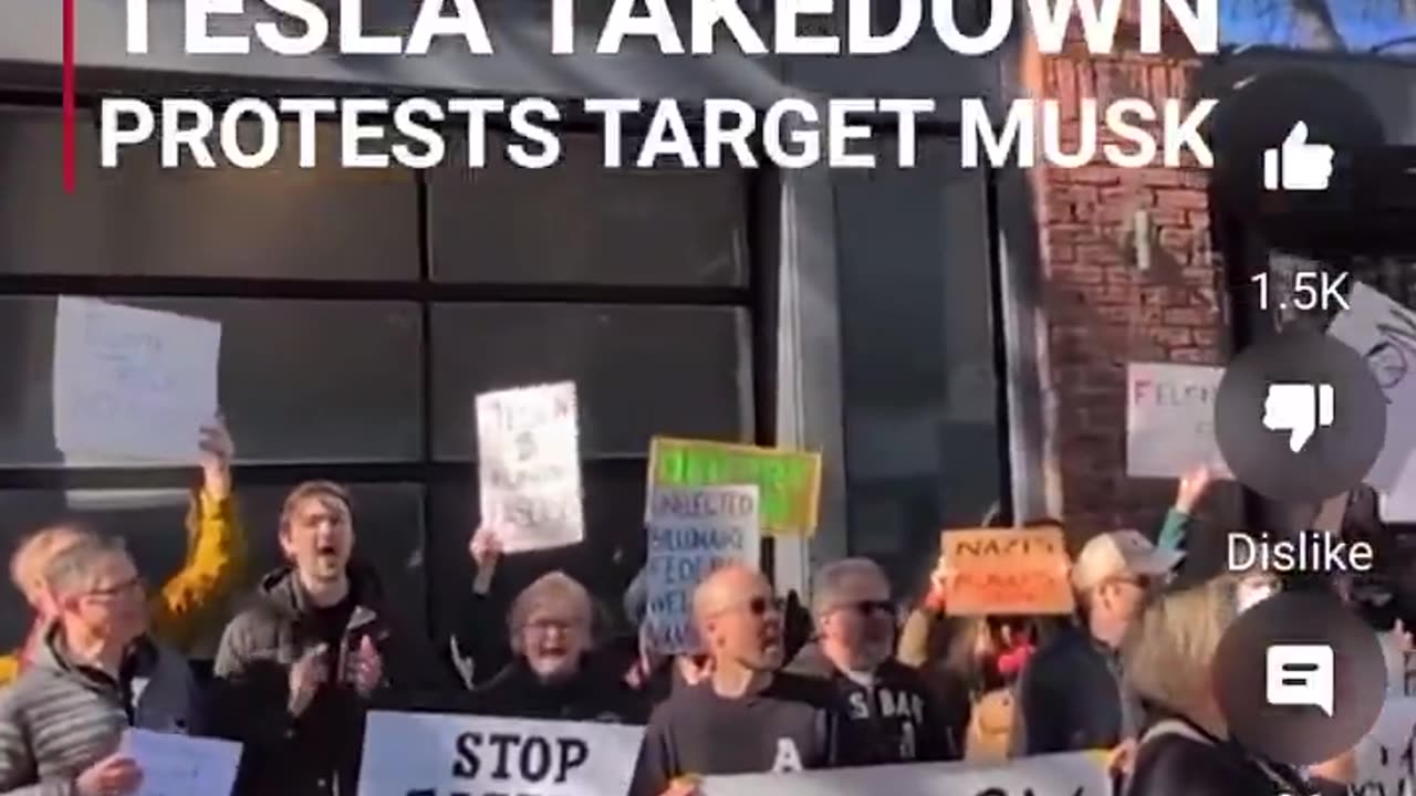 Valerie Costa is one of the people behind the Tesla takedown movement.