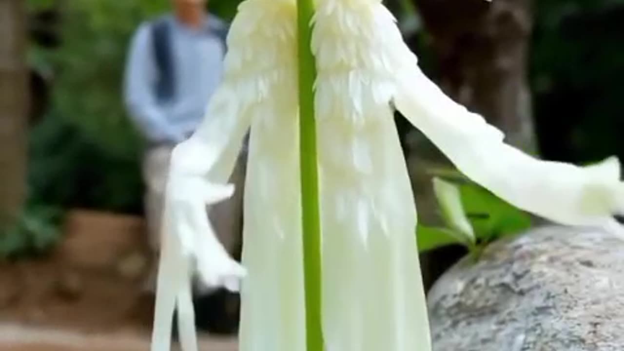 Wow, Beautiful