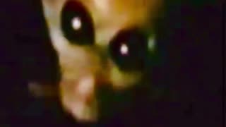 👽 1991 Alien Eyes? Movements Hidden Until 2025!