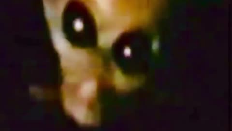 👽 1991 Alien Eyes? Movements Hidden Until 2025!