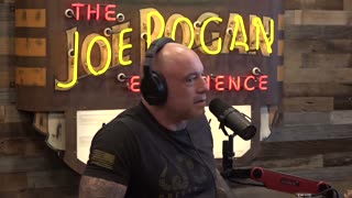 Tim Dillon calls out Palantir, the emerging digital police state on Joe Rogan