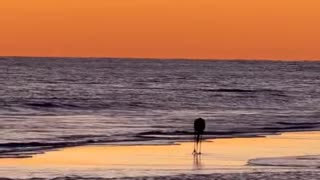 The Secret to Knowing You Are Enough!