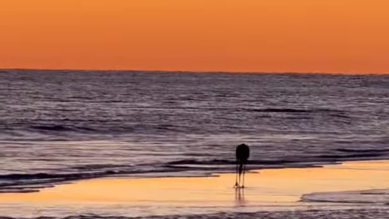 The Secret to Knowing You Are Enough!