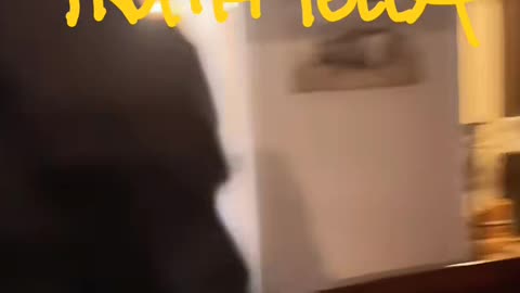 CHAOS ERUPTS AT THE CONTENT HOUSE EVERYBODY FIGHTING PT. 2