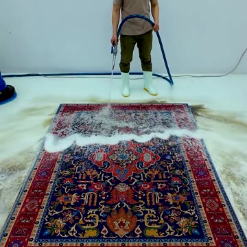 Watch Me Try To Save This Rug From The Landfill In 60s. #shorts #satisfyingvideo #cleancarpet