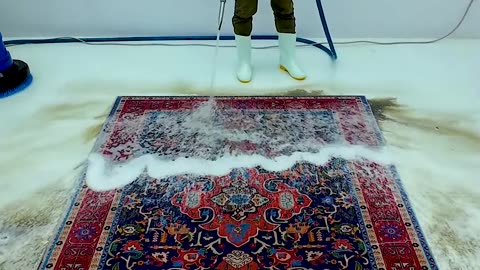 Watch Me Try To Save This Rug From The Landfill In 60s. #shorts #satisfyingvideo #cleancarpet