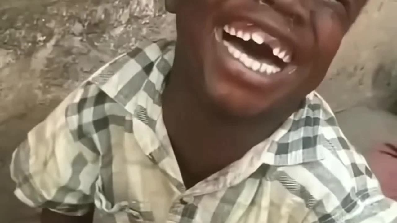 very funny dog video