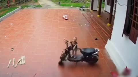 Naughty child - Adults should pay more attention - Reminder video
