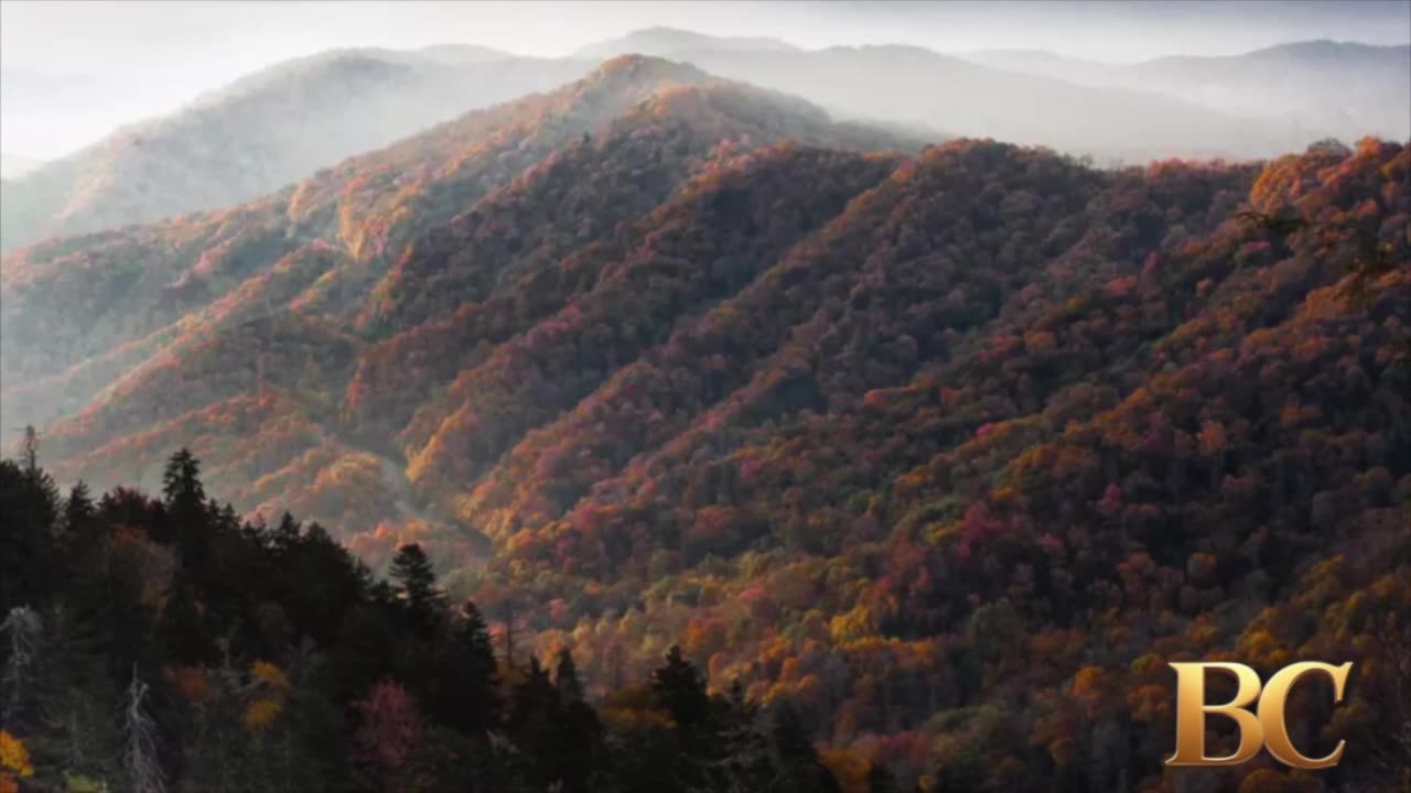 Missing man, 21, found dead in Great Smokey National Park