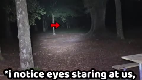 Is this a sharpshifter staring back at us in a state park in AL?