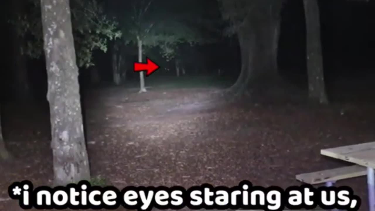 Is this a sharpshifter staring back at us in a state park in AL?