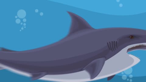 How Dangerous Is Australia Really? Sharks