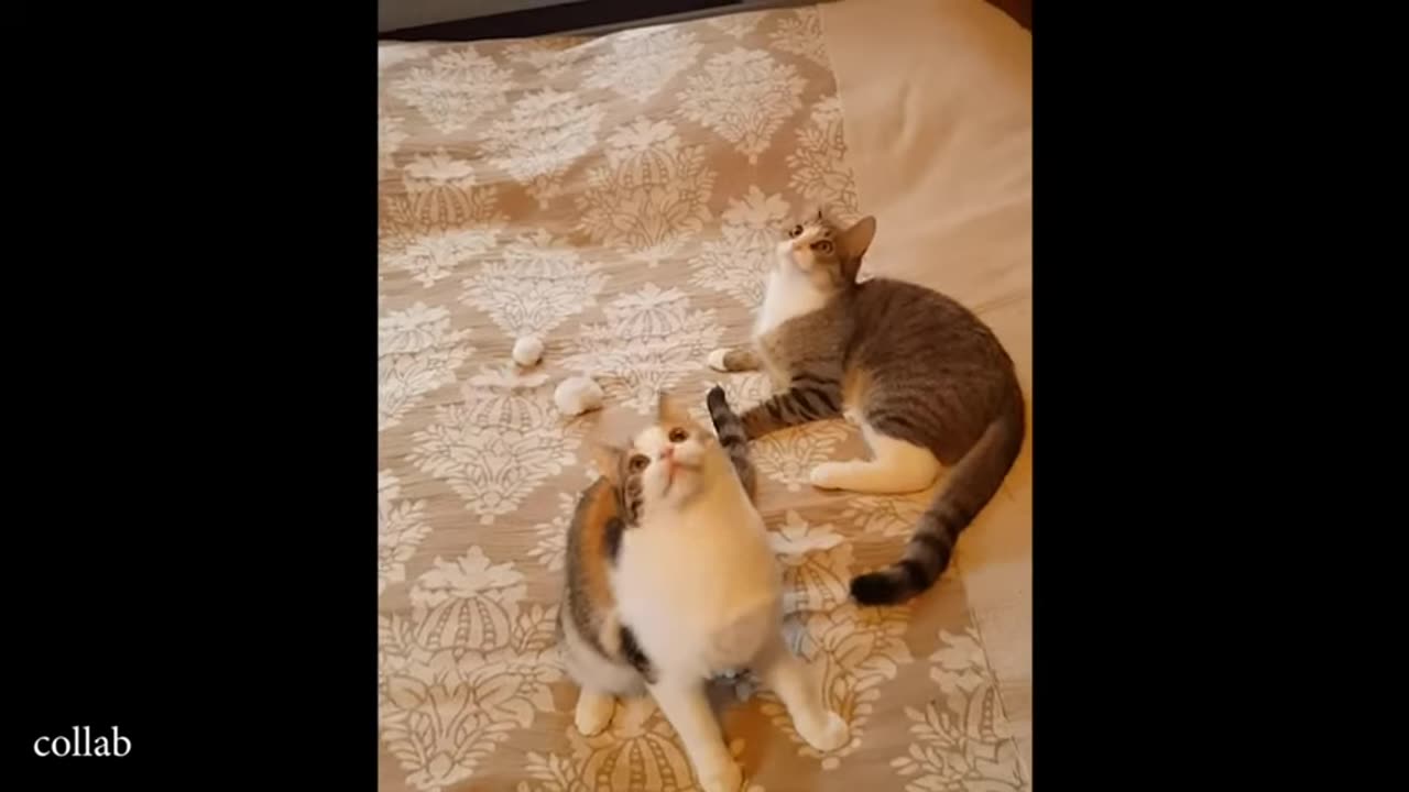 ahhhhmmm, may I help you?