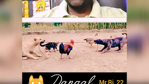 कोई चिटिंग न करे तुमलोग ध्यान रखना#short#funny#mr