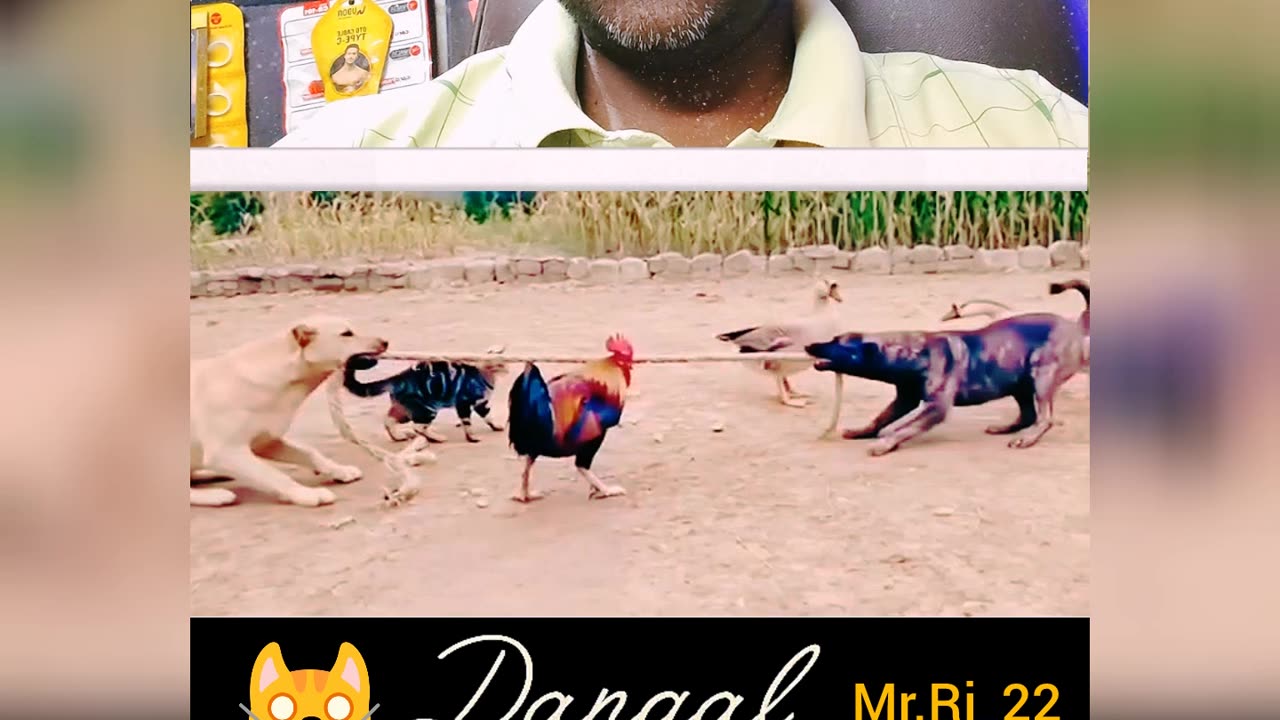 कोई चिटिंग न करे तुमलोग ध्यान रखना#short#funny#mr