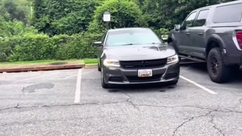 DHS agents detained an illegal alien outside of a courthouse while a Corpulent Karen