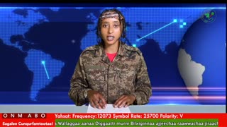 Oduu Ganama ONM-ABO Onkoloolessa 27-2025 itti dhiyaadhaa!