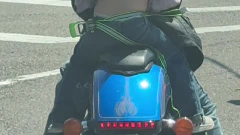 4 Year Old Ratchet Strapped Onto a Motorcycle