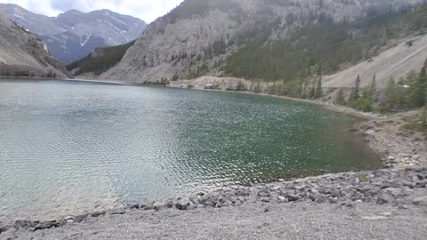 Canmore sheep's and goat mountains