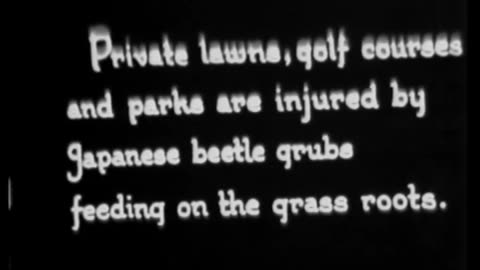 BEWARE THE JAPANESE BEETLE - BEWARE THE JAPANESE BEETLE - 33-489-r1