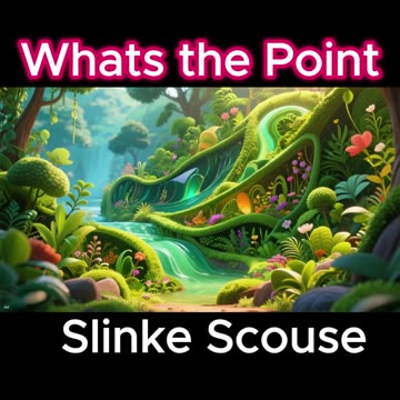 Slinke Scouse - Whats the Point