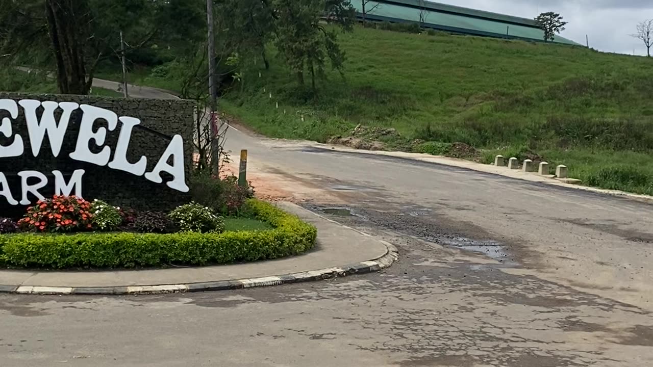 Srilanka farm